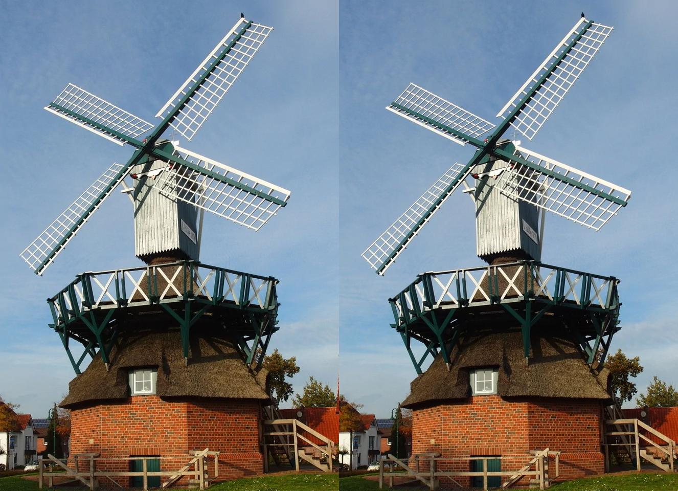 Windmill with Bird