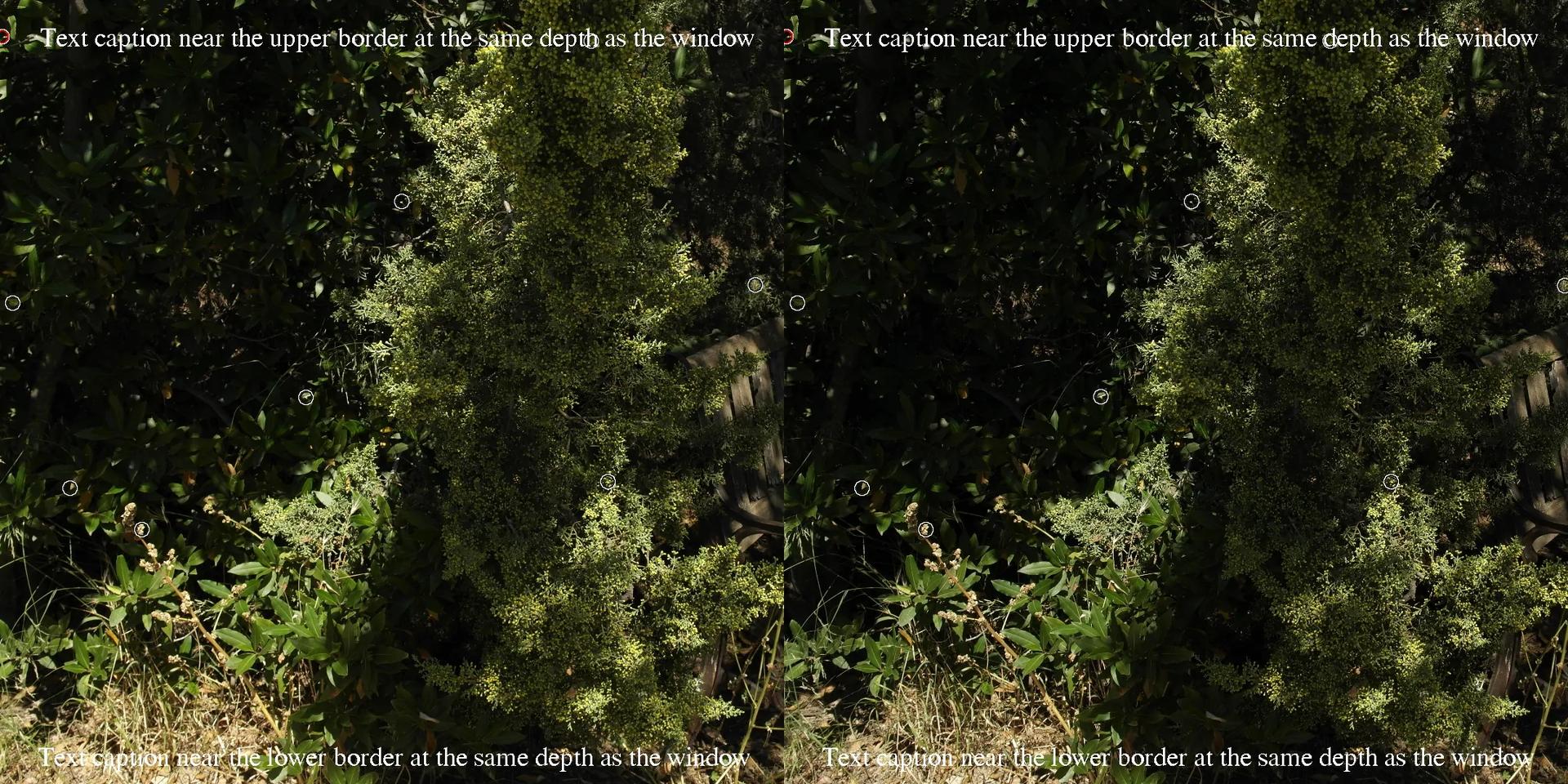 Cropped - Branch into the window - With text captions at window's depth