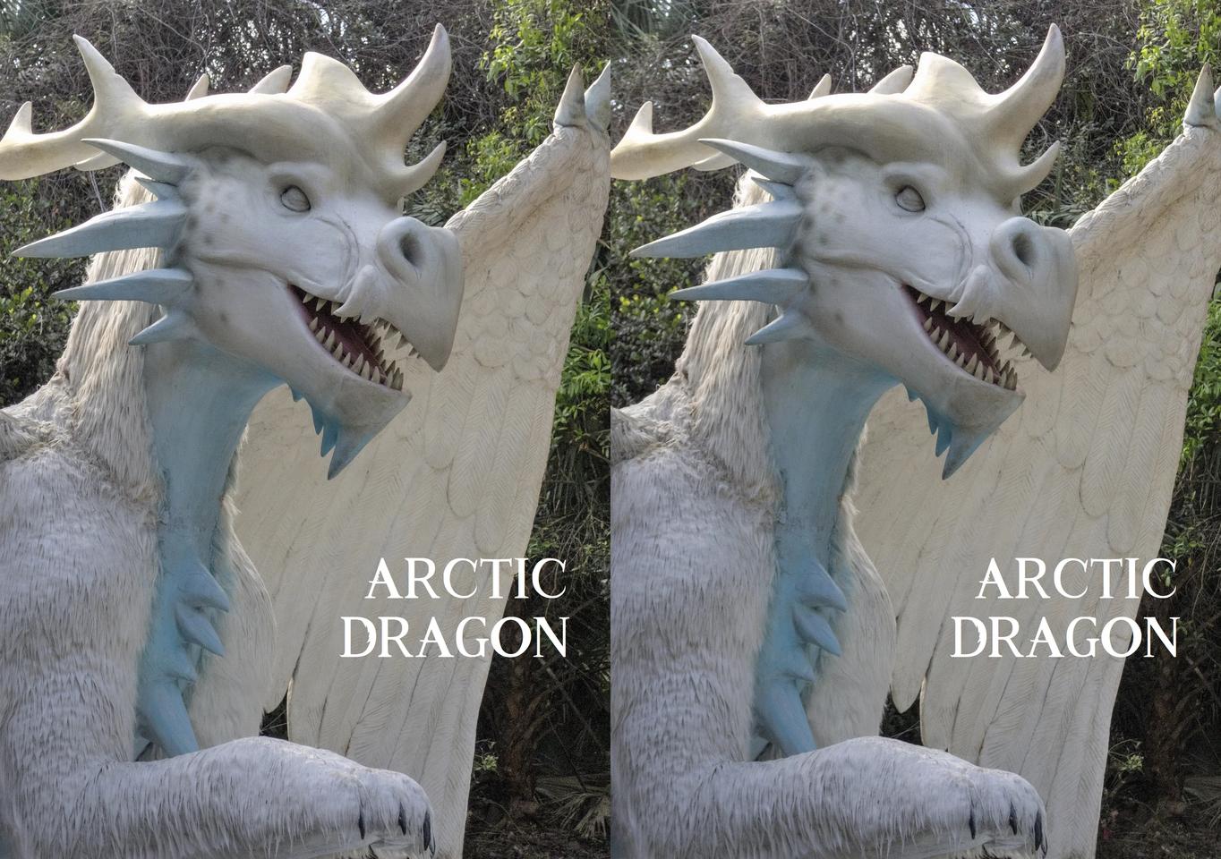 Arctic Dragon