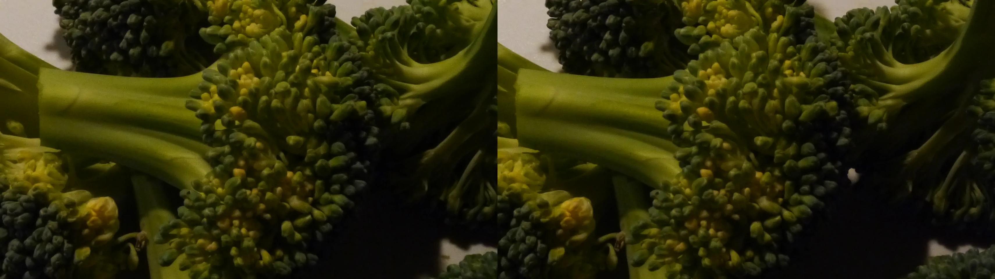 Broccoli Macro