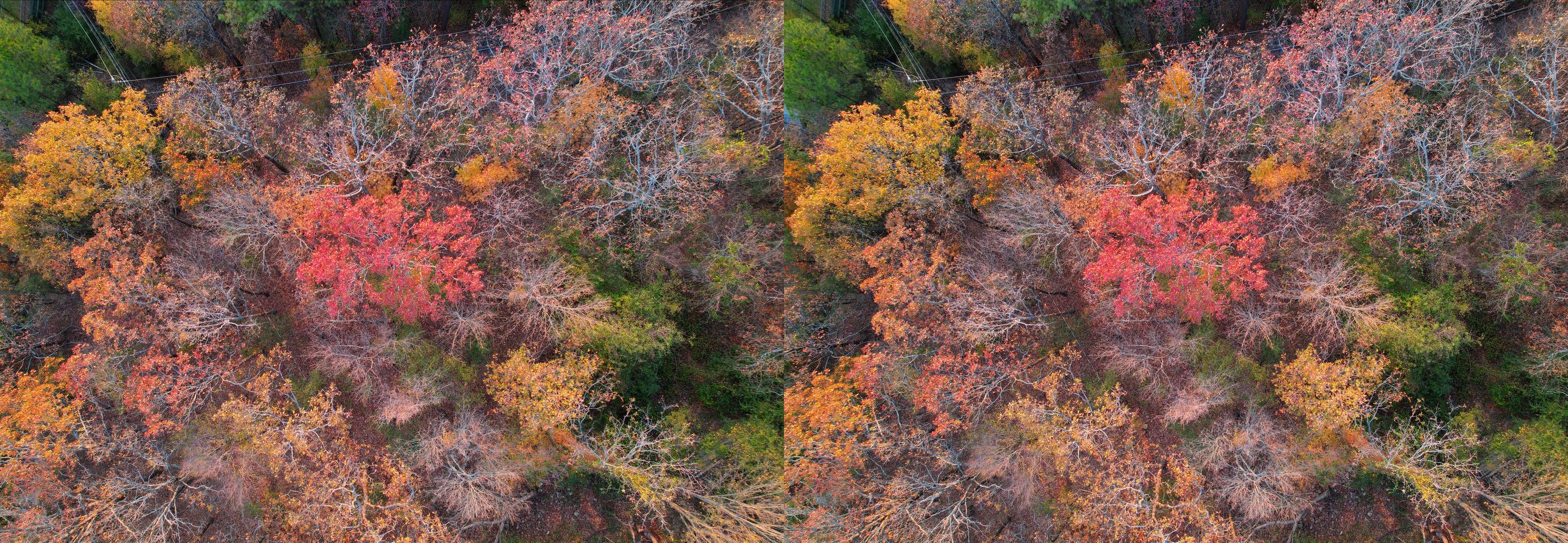 Fall Colors Drone cha-cha