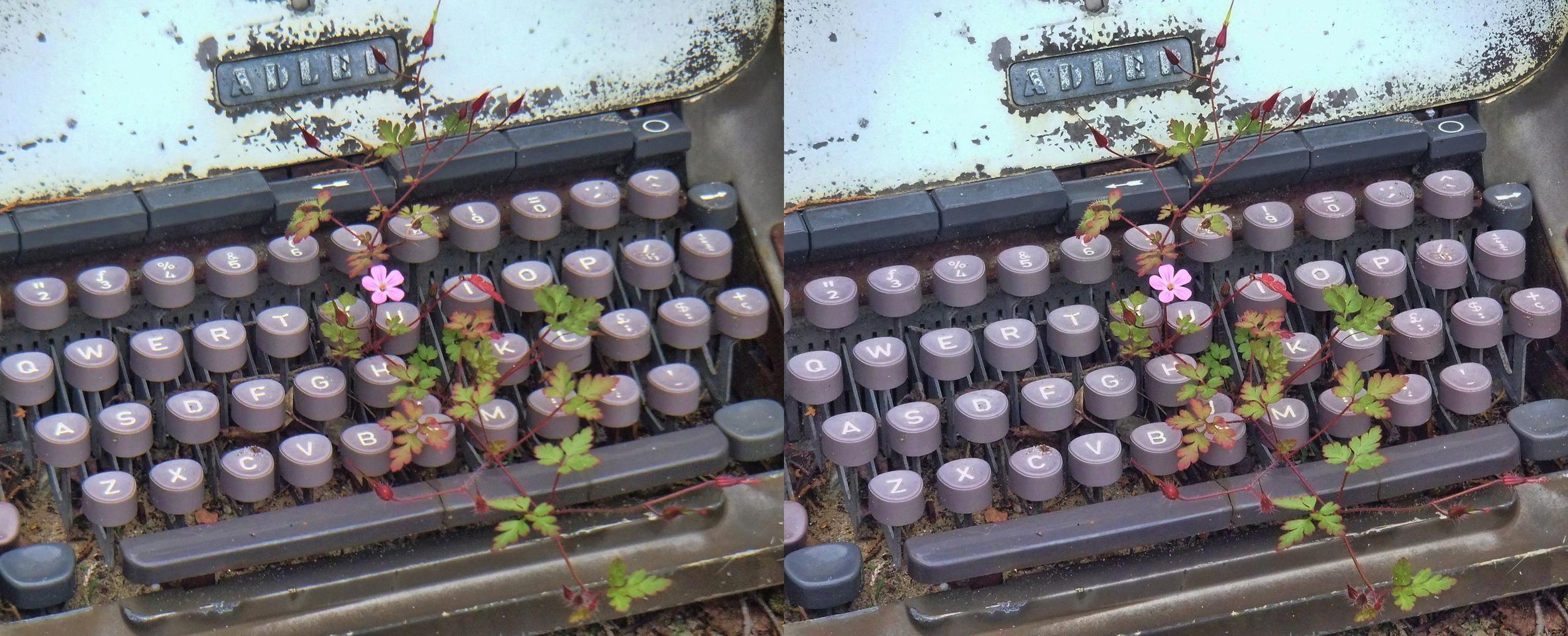 Typewriter Memorial