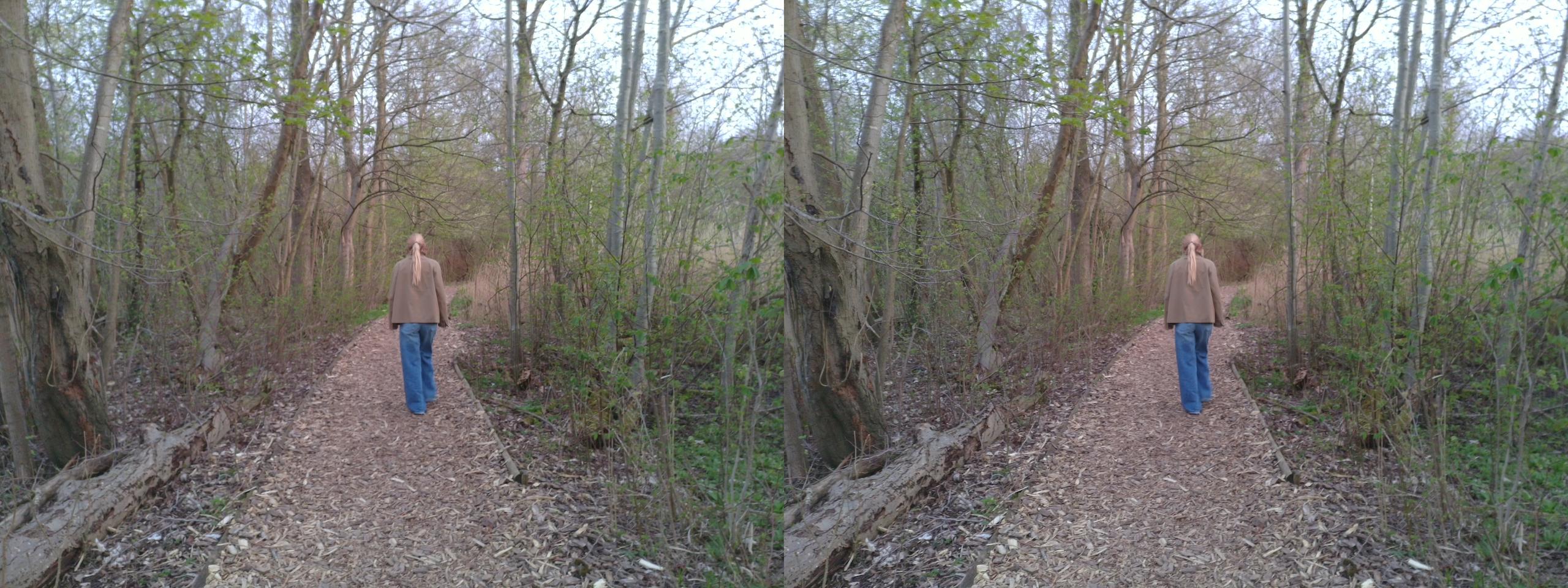 The Path