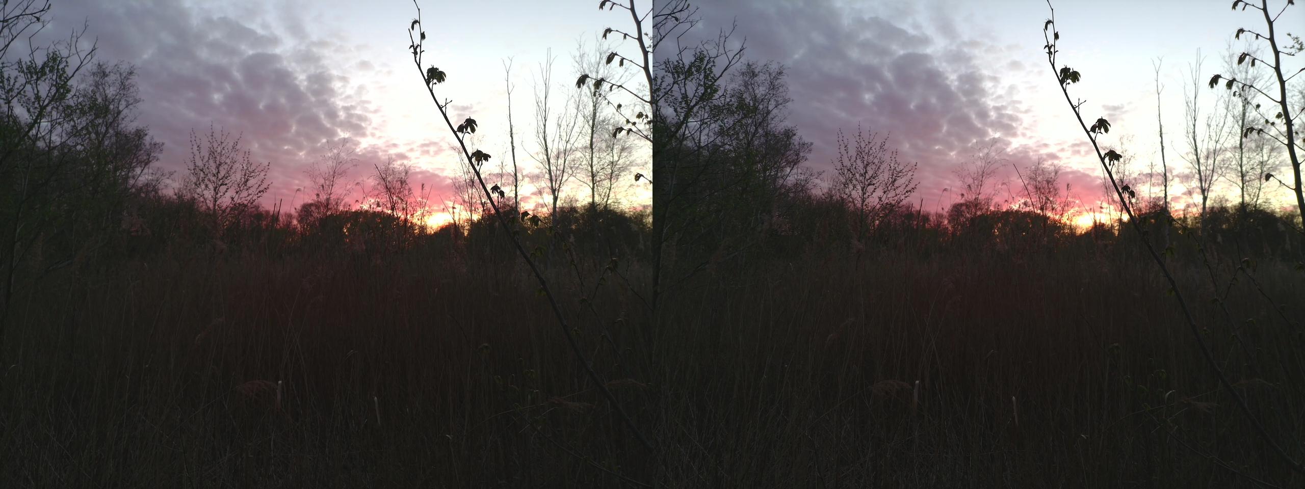 The Sunset
