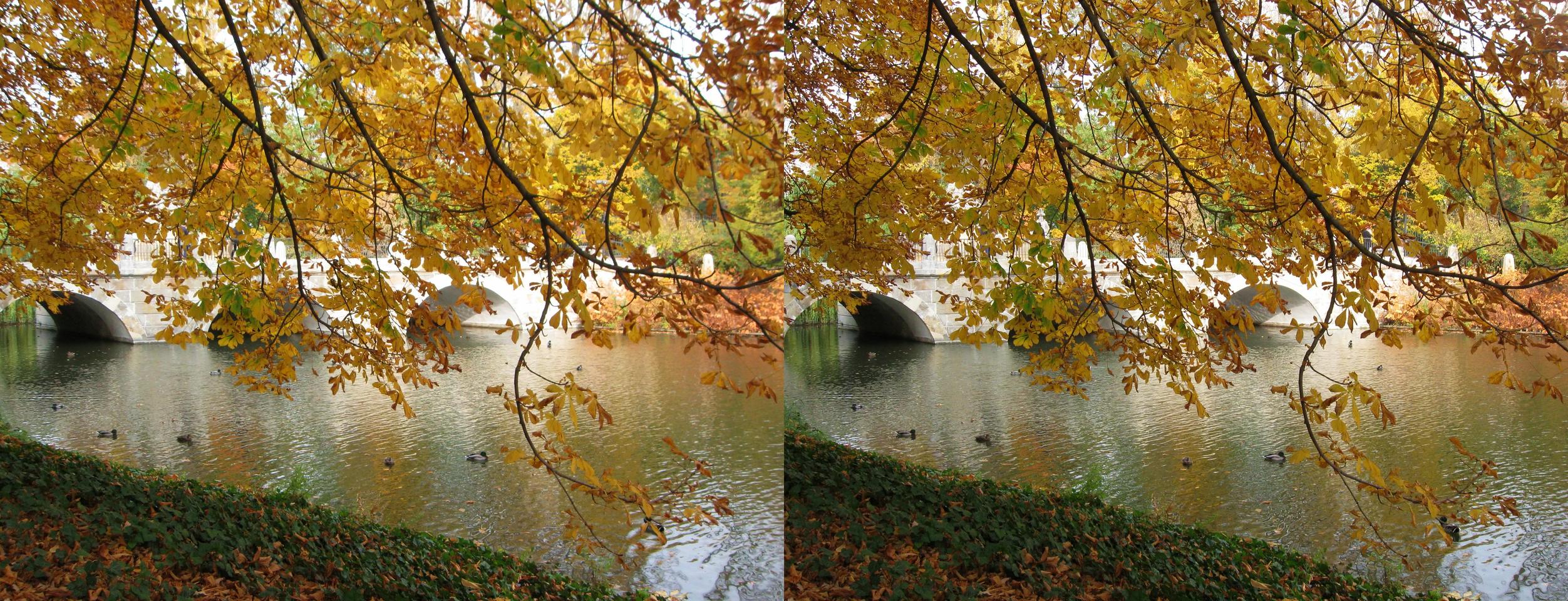 Autumn at Łazienki Park