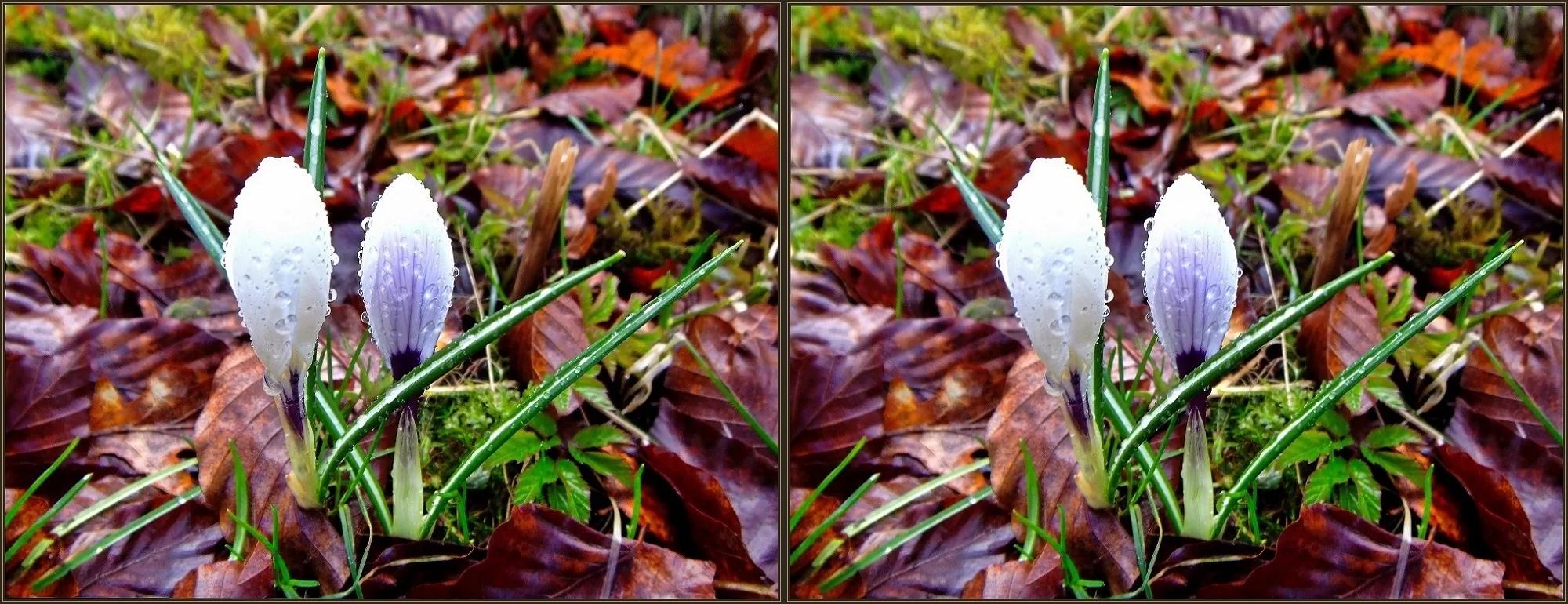 ... Spring is here! ...