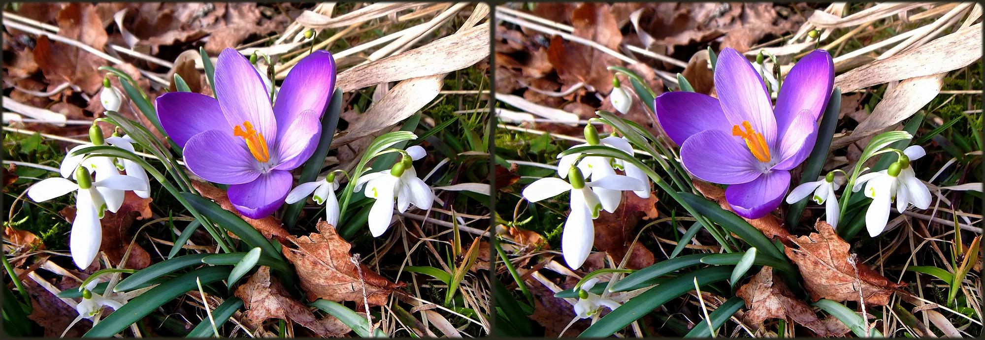 ... Spring is here! ...