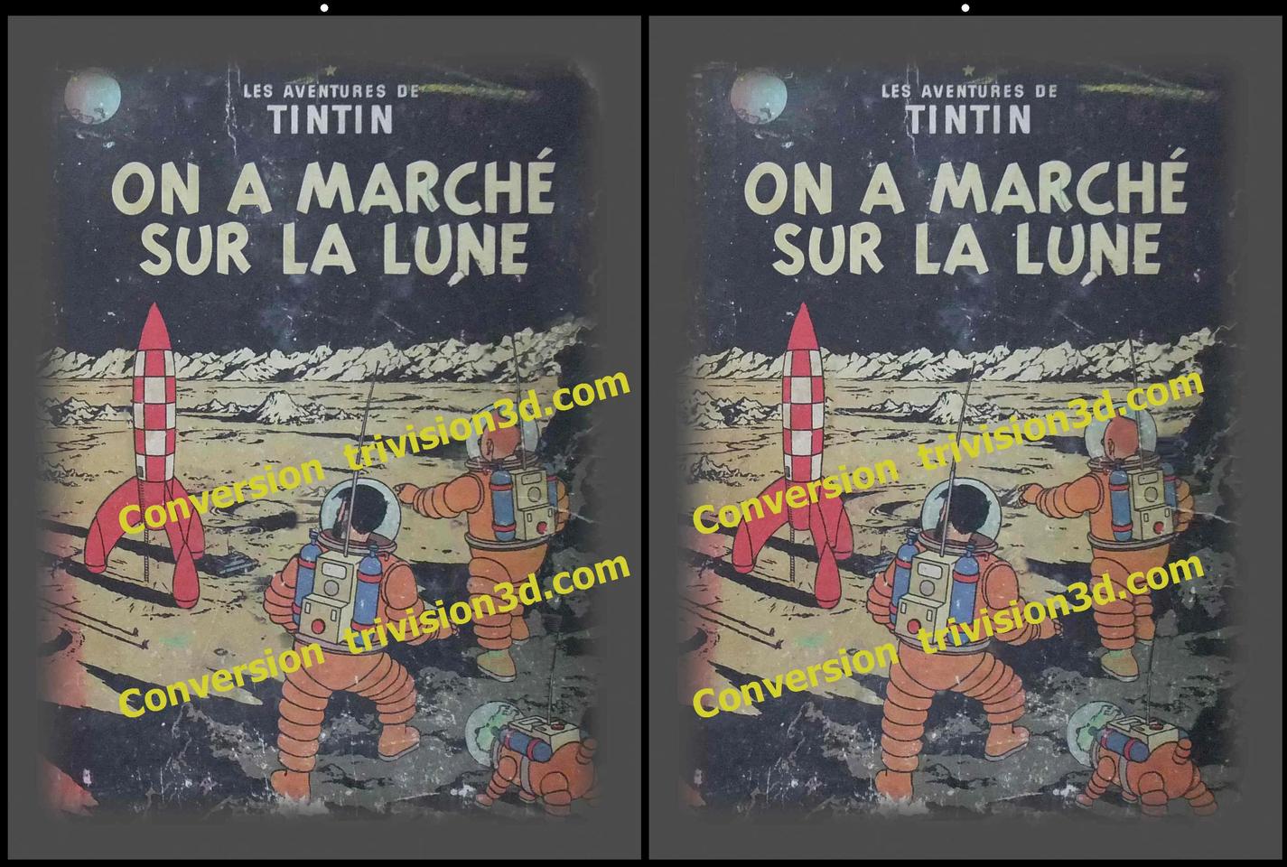 Tintin walk on the Moon