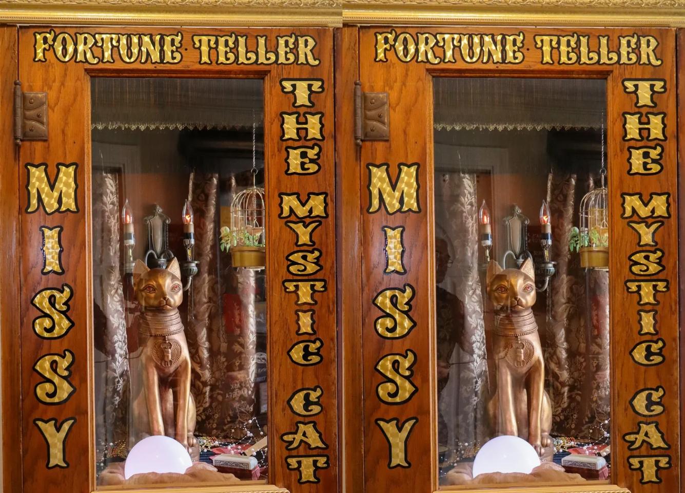 Missy The Mystic Cat