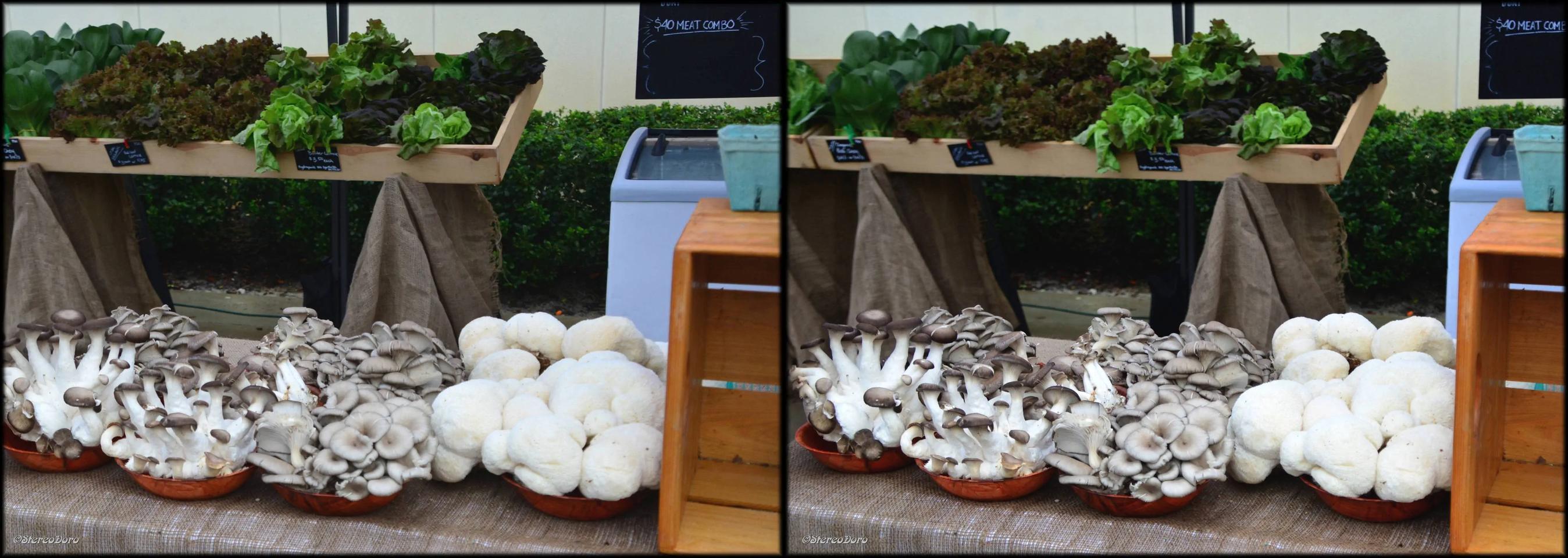 Mushrooms at the Market
