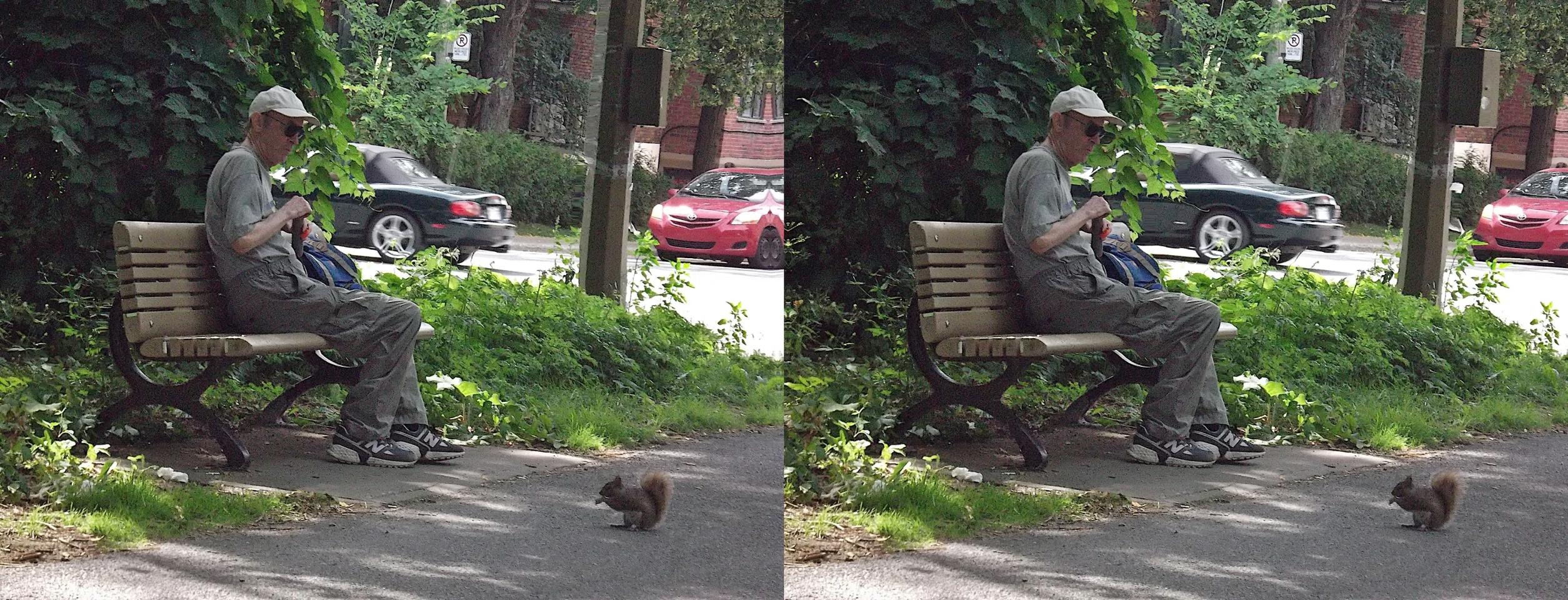 Man Feeding a Squirrel