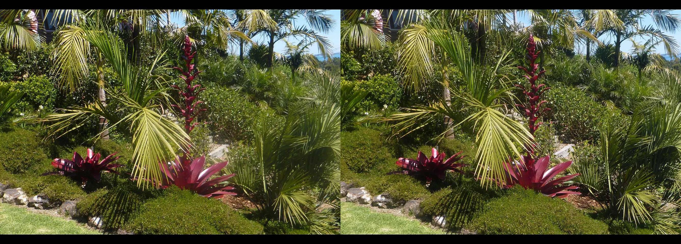 Garden on Waiheke Island – NZ