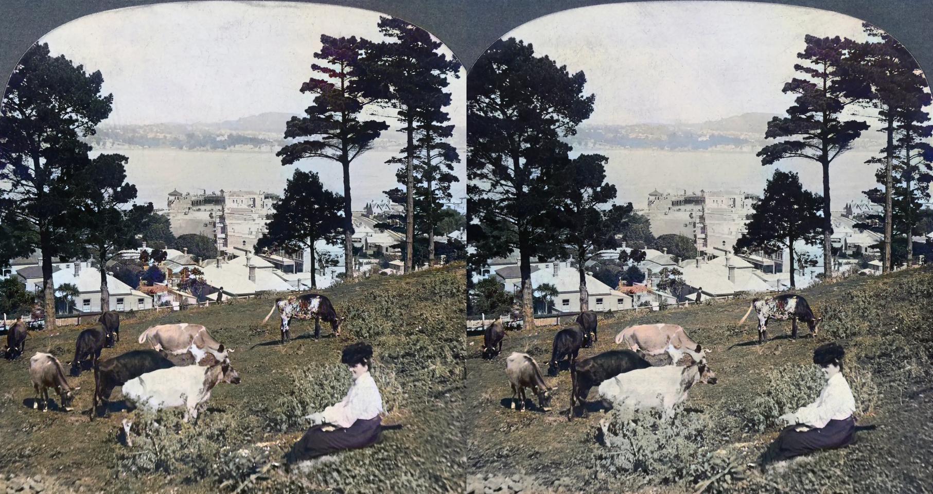 ‘Looking across Auckland harbor towards Auckland from Northcote, New Zealand’ 1910