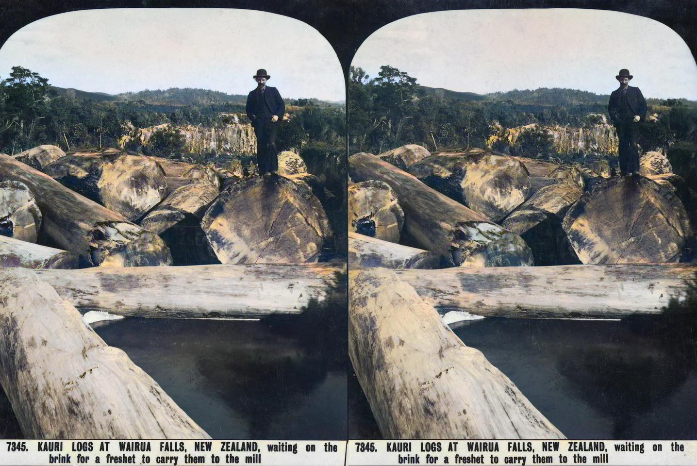 Kauri logs at Wairua Falls (near Whangarei), circa 1900