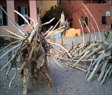 Sculptures with driftwood