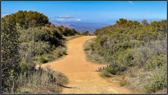 Top of Kennedy Trail, Santa Cruz Mountains, California