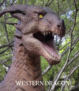 Western Dragon