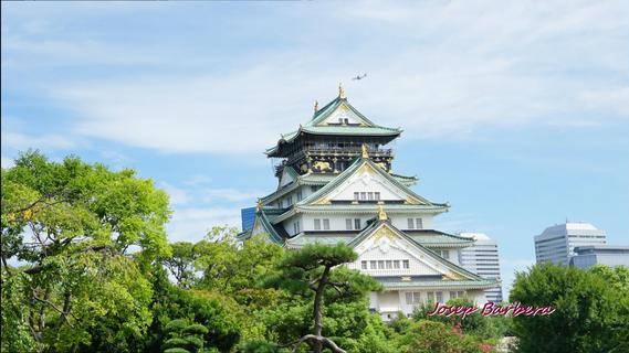 Osaka Castle 13