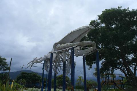 Humpback Whale Skeleton - view 01