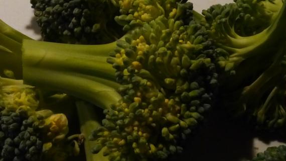 Broccoli Macro