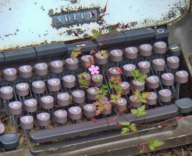 Typewriter Memorial