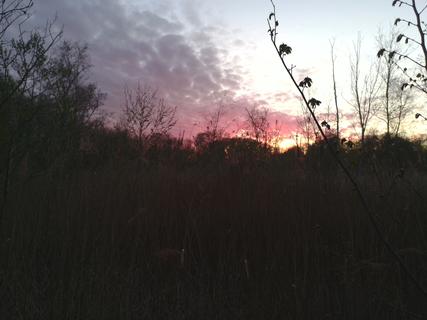 The Sunset