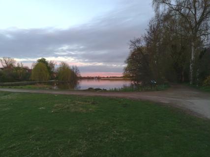 The view