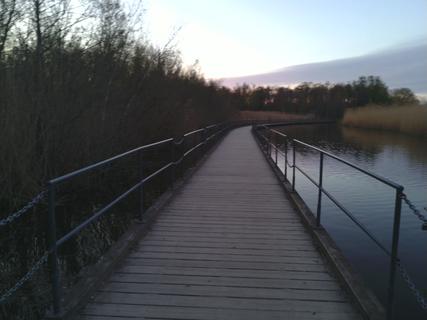 The Bridge