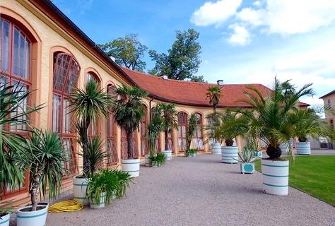 ... in the castle garden ...