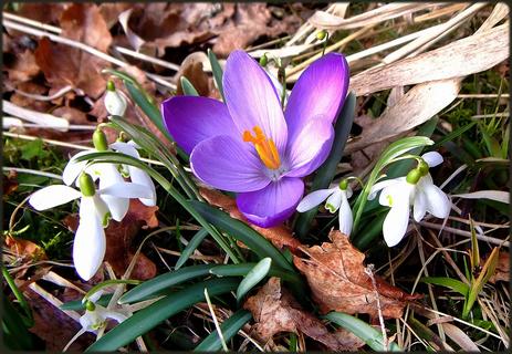 ... Spring is here! ...