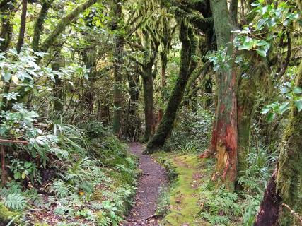 Tongariro walk 19