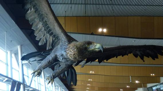 LOTR Eagle at Wellington Airport