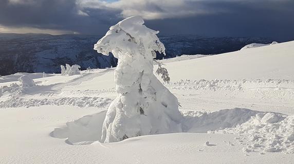 A winter troll in the Norwegian mountains