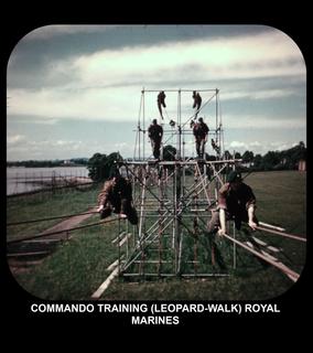 COMMANDO TRAINING (LEOPARD-WALK) ROYAL MARINES
