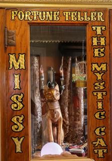 Missy The Mystic Cat