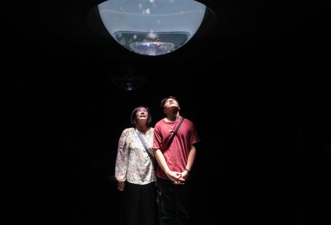 Aquarium in Tokyo - The Mrs - Takako, and the boy - Kaito
