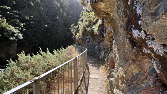 Karangahake gorge walkway