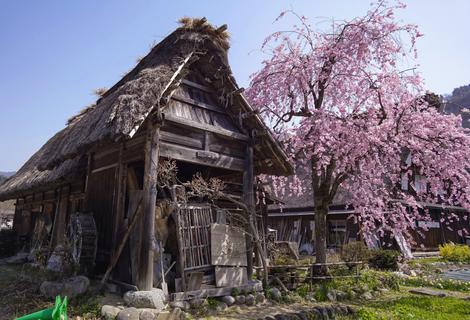Shirakawa-go neglected house