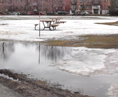 Melting Snow in the Park