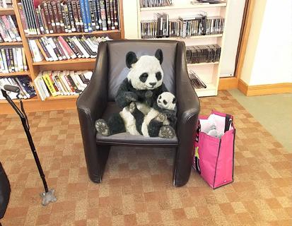 A Panda Bear in the Library