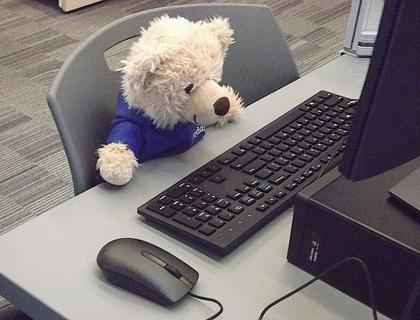 Eddy the Teddy emailing his relatives in England.