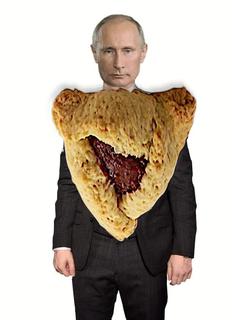 Putintaschen