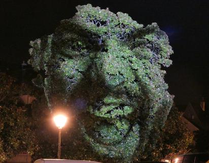 Lightpainted tree face