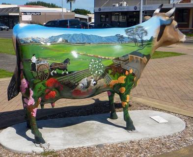 Painted Cow – Morrinsville
