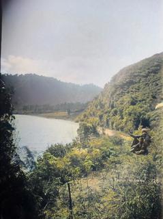 'Head of Lake Rotoiti'
