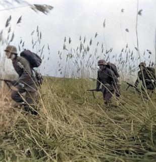 001 - German soldiers advance through wheat field